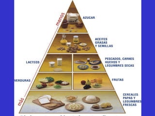 CARMEN GLORIA FRANCO M.
      NUTRICIONISTA
 