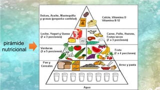 pirámide
nutricional
 