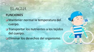 EL AGUA
FUNCIONES
 Mantener normal la temperatura del
cuerpo.
 Transportar los nutrientes a los tejidos
del cuerpo.
 Eliminar los desechos del organismo.
 
