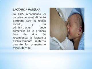 LACTANCIA MATERNA
La OMS recomienda el
calostro como el alimento
perfecto para el recién
nacido, y su
administración debe
comenzar en la primera
hora de vida. Se
recomienda la lactancia
exclusivamente materna
durante los primeros 6
meses de vida.
 