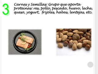  Carnes y Semillas: Grupo que aporta proteínas: res, pollo, pescado, huevo, leche, queso, yogurt,  frijoles, habas, lentejas, etc.