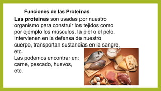 Funciones de las Proteínas
Las proteínas son usadas por nuestro
organismo para construir los tejidos como
por ejemplo los músculos, la piel o el pelo.
Intervienen en la defensa de nuestro
cuerpo, transportan sustancias en la sangre,
etc.
Las podemos encontrar en:
carne, pescado, huevos,
etc.
 