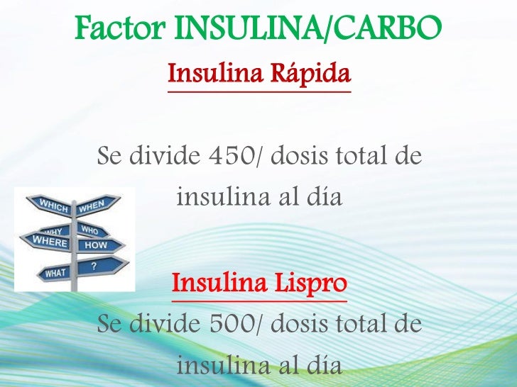 La Alimentacion y el Conteo de Hidratos de Carbono La Alimentacion y el Conteo de Hidratos de Carbono