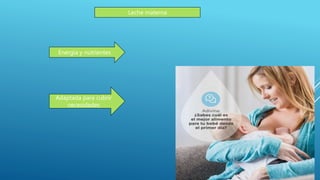 Energia y nutrientes
Leche materna
Adaptada para cubrir
necesidades
 