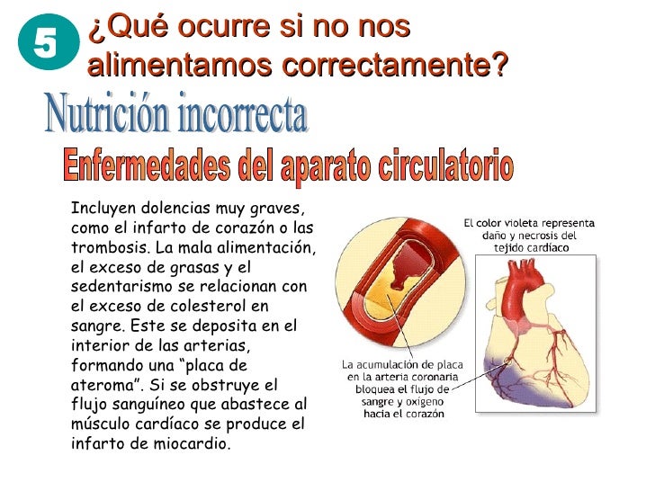 Tema 2 Alimentacion y nutrición Tema 2 Alimentacion y nutrición