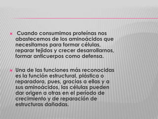



Cuando consumimos proteínas nos
abastecemos de los aminoácidos que
necesitamos para formar células,
reparar tejidos y crecer desarrollarnos,
formar anticuerpos como defensa.
Una de las funciones más reconocidas
es la función estructural, plástica o
reparadora, pues, gracias a ellas y a
sus aminoácidos, las células pueden
dar origen a otras en el período de
crecimiento y de reparación de
estructuras dañadas.

 