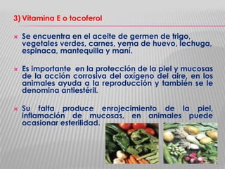 3) Vitamina E o tocoferol






Se encuentra en el aceite de germen de trigo,
vegetales verdes, carnes, yema de huevo, lechuga,
espinaca, mantequilla y maní.
Es importante en la protección de la piel y mucosas
de la acción corrosiva del oxígeno del aire, en los
animales ayuda a la reproducción y también se le
denomina antiestéril.
Su falta produce enrojecimiento de la piel,
inflamación de mucosas, en animales puede
ocasionar esterilidad.

 
