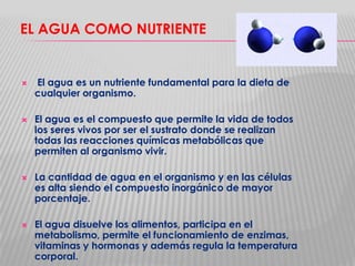 EL AGUA COMO NUTRIENTE









El agua es un nutriente fundamental para la dieta de
cualquier organismo.
El agua es el compuesto que permite la vida de todos
los seres vivos por ser el sustrato donde se realizan
todas las reacciones químicas metabólicas que
permiten al organismo vivir.
La cantidad de agua en el organismo y en las células
es alta siendo el compuesto inorgánico de mayor
porcentaje.
El agua disuelve los alimentos, participa en el
metabolismo, permite el funcionamiento de enzimas,
vitaminas y hormonas y además regula la temperatura
corporal.

 
