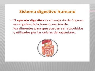 Alimentacion y Nutricion.