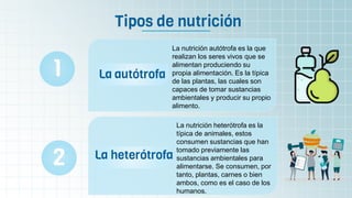 La autótrofa
1
La heterótrofa
2
Tipos de nutrición
La nutrición autótrofa es la que
realizan los seres vivos que se
alimentan produciendo su
propia alimentación. Es la típica
de las plantas, las cuales son
capaces de tomar sustancias
ambientales y producir su propio
alimento.
La nutrición heterótrofa es la
típica de animales, estos
consumen sustancias que han
tomado previamente las
sustancias ambientales para
alimentarse. Se consumen, por
tanto, plantas, carnes o bien
ambos, como es el caso de los
humanos.
 