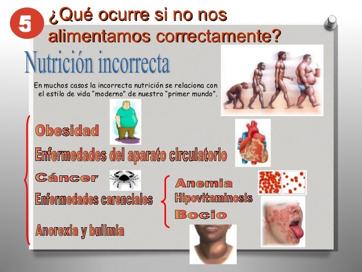 Alimentacion y nutricion 2 Alimentacion y nutricion 2