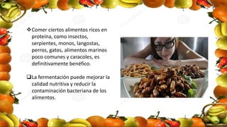 Comer ciertos alimentos ricos en
proteína, como insectos,
serpientes, monos, langostas,
perros, gatos, alimentos marinos
poco comunes y caracoles, es
definitivamente benéfico.
La fermentación puede mejorar la
calidad nutritiva y reducir la
contaminación bacteriana de los
alimentos.
 
