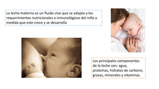 La leche materna es un fluido vivo que se adapta a los
requerimientos nutricionales e inmunológicos del niño a
medida que este crece y se desarrolla
Los principales componentes
de la leche son: agua,
proteínas, hidratos de carbono,
grasas, minerales y vitaminas.
 