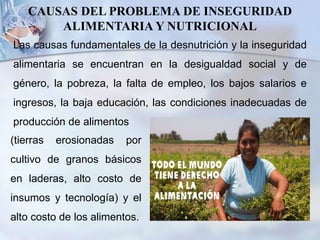 CAUSAS DEL PROBLEMA DE INSEGURIDAD
ALIMENTARIA Y NUTRICIONAL
Las causas fundamentales de la desnutrición y la inseguridad
alimentaria se encuentran en la desigualdad social y de
género, la pobreza, la falta de empleo, los bajos salarios e
ingresos, la baja educación, las condiciones inadecuadas de
producción de alimentos
(tierras erosionadas por
cultivo de granos básicos
en laderas, alto costo de
insumos y tecnología) y el
alto costo de los alimentos.
 