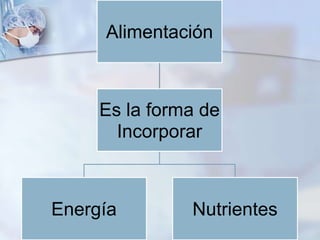 Alimentación
Es la forma de
Incorporar
Energía Nutrientes
 
