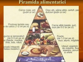 Piramida alimentatiei 