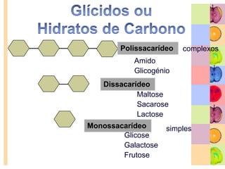Glícidos ou Hidratos de CarbonoFornecem energia para as nossas necessidades energéticas imediatas.Função essencialmente energética.Presentes na maioria dos alimentos de origem vegetal.O leite é o único alimento animal com glícidos (a lactose)