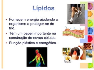 Glícidos ou Hidratos de CarbonoPolissacarídeo complexosAmidoGlicogénioDissacarídeoMaltoseSacaroseLactoseMonossacarídeosimplesGlicoseGalactoseFrutose