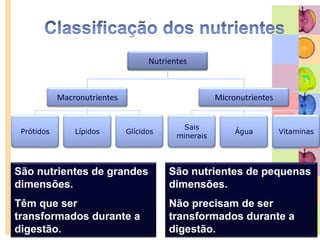 AvitaminosesCarência de Vitamina C – EscorbutoÉpoca dos Descobrimentos: Ao final de alguns meses de viagem os marinheiros começavam a ter hemorragias nas gengivas e noutras partes do corpo.JamesLind, cirurgião, séc. XVIII: verificou que se os doentes comessem alimentos ricos em vitamica C ficavam curados.