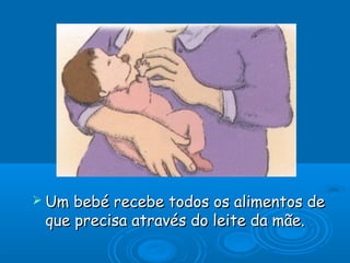  Um bebé recebe todos os alimentos deUm bebé recebe todos os alimentos de
que precisa através do leite da mãe.que precisa através do leite da mãe.
 