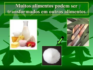 Muitos alimentos podem ser transformados em outros alimentos 