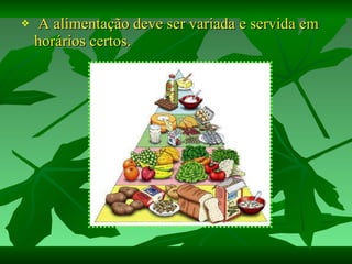 A alimentação deve ser variada e servida em horários certos. 
