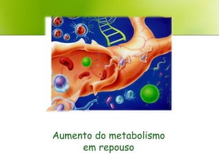 Aumento do metabolismo
     em repouso
 