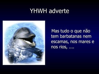 YHWH adverte Mas tudo o que não tem barbatanas nem escamas, nos mares e nos rios, .... 