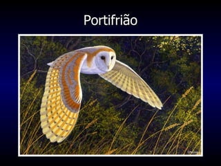Portifrião 