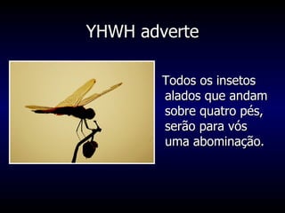 YHWH adverte Todos os insetos alados que andam sobre quatro pés, serão para vós uma abominação.  