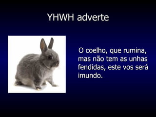 YHWH adverte O coelho, que rumina, mas não tem as unhas fendidas, este vos será imundo. 