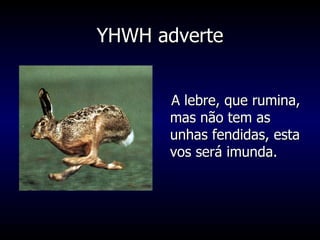 YHWH adverte A lebre, que rumina, mas não tem as unhas fendidas, esta vos será imunda. 