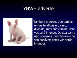 YHWH adverte Também o porco, que tem as unhas fendidas e o casco dividido, mas não rumina, este vos será imundo. Da sua carne não comereis, nem tocareis no seu cadáver; estes vos serão imundos. 