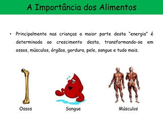 • Principalmente nas crianças a maior parte desta “energia” é
determinada ao crescimento desta, transformando-se em
ossos, músculos, órgãos, gordura, pele, sangue e tudo mais.
Ossos Sangue Músculos
A Importância dos Alimentos
 