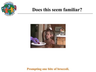 Does this seem familiar?
Prompting one bite of broccoli.
 