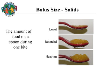Bolus Size - Solids
The amount of
food on a
spoon during
one bite
Heaping
Level
Rounded
 