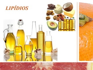 LIPÍDIOS
 