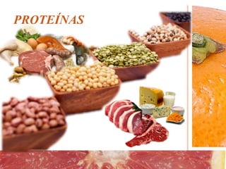 PROTEÍNAS
 