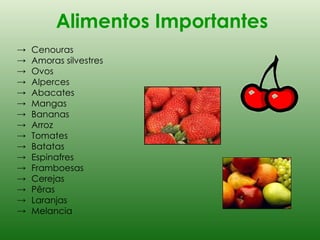 Alimentos Importantes Cenouras Amoras silvestres Ovos Alperces Abacates Mangas Bananas Arroz Tomates Batatas Espinafres Framboesas Cerejas Pêras Laranjas Melancia  