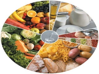 O que é uma alimentação saudável ?
É uma alimentação completa, equilibrada e variada.
A roda dos alimentos transmite impor...