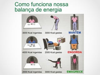 Como funciona nossa
balança de energia
3000 Kcal ingeridas 3000 Kcal gastas MANTÉM
4000 Kcal ingeridas 2000 Kcal gastas ENGORDA
2000 Kcal ingeridas 3000 Kcal gastas EMAGRECE
 
