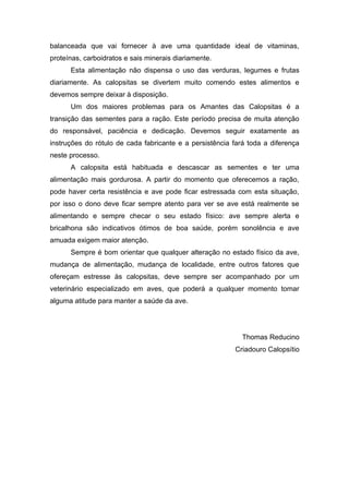 balanceada que vai fornecer à ave uma quantidade ideal de vitaminas,
proteínas, carboidratos e sais minerais diariamente.
      Esta alimentação não dispensa o uso das verduras, legumes e frutas
diariamente. As calopsitas se divertem muito comendo estes alimentos e
devemos sempre deixar à disposição.
      Um dos maiores problemas para os Amantes das Calopsitas é a
transição das sementes para a ração. Este período precisa de muita atenção
do responsável, paciência e dedicação. Devemos seguir exatamente as
instruções do rótulo de cada fabricante e a persistência fará toda a diferença
neste processo.
      A calopsita está habituada e descascar as sementes e ter uma
alimentação mais gordurosa. A partir do momento que oferecemos a ração,
pode haver certa resistência e ave pode ficar estressada com esta situação,
por isso o dono deve ficar sempre atento para ver se ave está realmente se
alimentando e sempre checar o seu estado físico: ave sempre alerta e
bricalhona são indicativos ótimos de boa saúde, porém sonolência e ave
amuada exigem maior atenção.
      Sempre é bom orientar que qualquer alteração no estado físico da ave,
mudança de alimentação, mudança de localidade, entre outros fatores que
ofereçam estresse às calopsitas, deve sempre ser acompanhado por um
veterinário especializado em aves, que poderá a qualquer momento tomar
alguma atitude para manter a saúde da ave.




                                                            Thomas Reducino
                                                         Criadouro Calopsítio
 