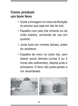 18
Como produzir
um bom feno
• Corte a forragem no início da floração
(é preciso que seja em dia de sol).
• Espalhe num piso (de cimento ou de
chão batido), revirando de vez em
quando.
• Junte tudo em montes (leiras), antes
do anoitecer.
• Espalhe de novo no outro dia, sem
deixar secar demais (umas 2 ou 3
horas são suficientes), depois junte e
armazene. O feno não pode perder a
cor esverdeada.
 