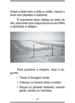 23
limpar e bater bem o chão e, então, marcar o
local com piquetes e barbante.
É importante fazer valetas ao redor do
silo, para evitar que a água da chuva se inflitre
e apodreça a silagem.
Para preparar a silagem, faça o se-
guinte:
• Triture a forragem verde.
• Coloque no terreno limpo e batido.
• Soque ou pisoteie bastante, usando
gente, cavalo ou marretas.
 