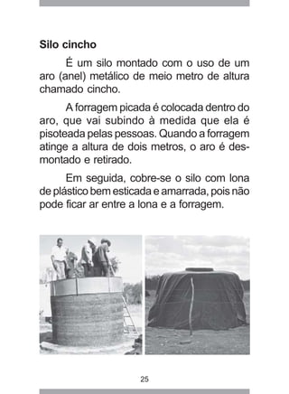25
Silo cincho
É um silo montado com o uso de um
aro (anel) metálico de meio metro de altura
chamado cincho.
A forragem picada é colocada dentro do
aro, que vai subindo à medida que ela é
pisoteada pelas pessoas. Quando a forragem
atinge a altura de dois metros, o aro é des-
montado e retirado.
Em seguida, cobre-se o silo com lona
deplásticobemesticadaeamarrada,poisnão
pode ficar ar entre a lona e a forragem.
 