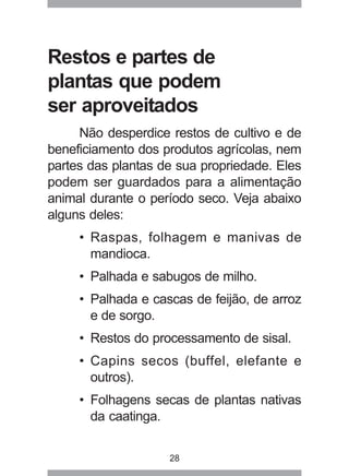 28
Restos e partes de
plantas que podem
ser aproveitados
Não desperdice restos de cultivo e de
beneficiamento dos produtos agrícolas, nem
partes das plantas de sua propriedade. Eles
podem ser guardados para a alimentação
animal durante o período seco. Veja abaixo
alguns deles:
• Raspas, folhagem e manivas de
mandioca.
• Palhada e sabugos de milho.
• Palhada e cascas de feijão, de arroz
e de sorgo.
• Restos do processamento de sisal.
• Capins secos (buffel, elefante e
outros).
• Folhagens secas de plantas nativas
da caatinga.
 