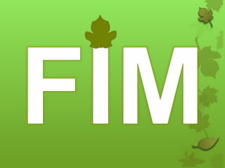 Alimentação das plantas