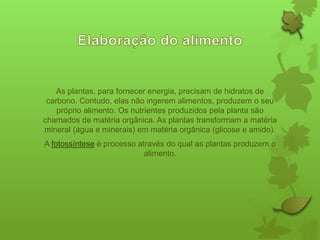 As plantas, para fornecer energia, precisam de hidratos de
carbono. Contudo, elas não ingerem alimentos, produzem o seu
próprio alimento. Os nutrientes produzidos pela planta são
chamados de matéria orgânica. As plantas transformam a matéria
mineral (água e minerais) em matéria orgânica (glicose e amido).
A fotossíntese é processo através do qual as plantas produzem o
alimento.

 