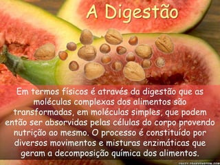 A DigestãoEm termos físicos é através da digestão que as moléculas complexas dos alimentos são transformadas, em moléculas simples, que podem então ser absorvidas pelas células do corpo provendo nutrição ao mesmo. O processo é constituído por diversos movimentos e misturas enzimáticas que geram a decomposição química dos alimentos. 