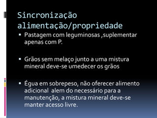 Sincronização
alimentação/propriedade
 Pastagem com leguminosas ,suplementar
  apenas com P.

 Grãos sem melaço junto a uma mistura
  mineral deve-se umedecer os grãos

 Égua em sobrepeso, não oferecer alimento
  adicional alem do necessário para a
  manutenção, a mistura mineral deve-se
  manter acesso livre.
 